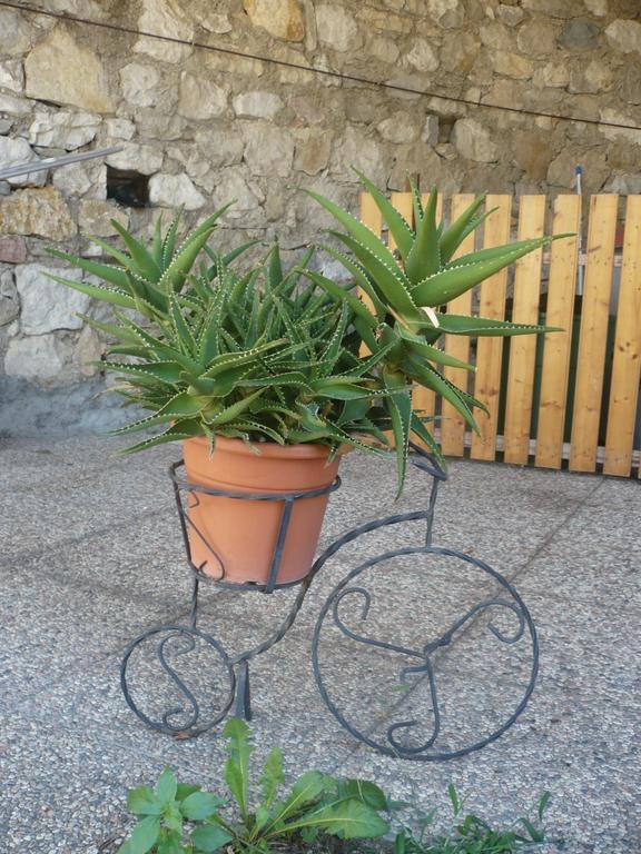 Appartamento Michela Brenzone sul Garda Zimmer foto